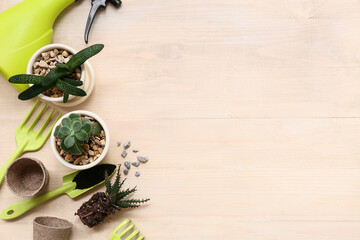 Transplanting plant and gardening tools on beige wooden background. Top view