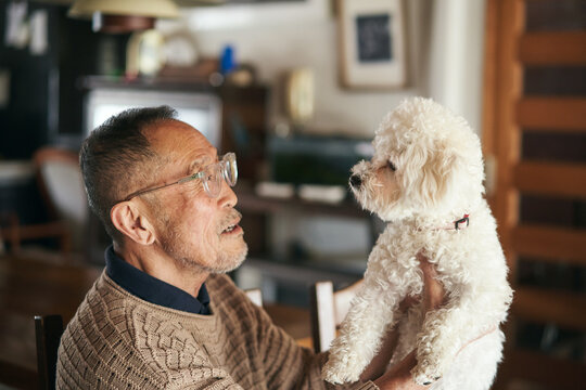 日本人シニア男性と愛犬