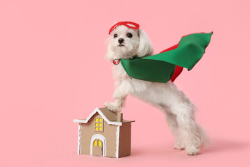Cute little dog in superhero costume with toy house on pink background