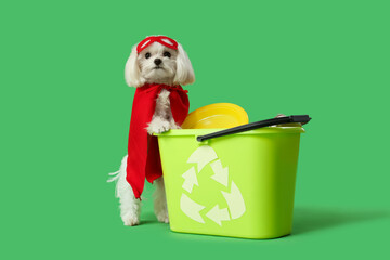 Cute little dog in eco superhero costume with trash bin and garbage on green background