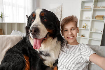Little boy with Bernese mountain dog sitting on sofa at home
