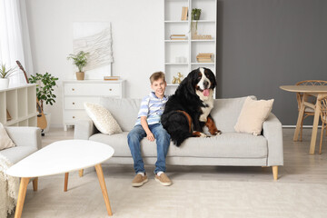 Little boy with Bernese mountain dog sitting on sofa at home
