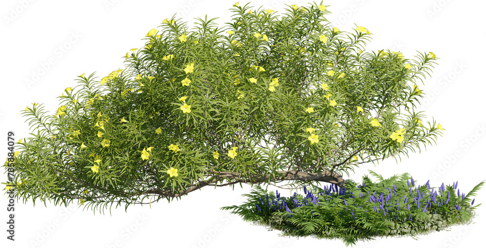 Poster realistic 3d rendering of a tree on transparent background, suitable for architecture visualization,