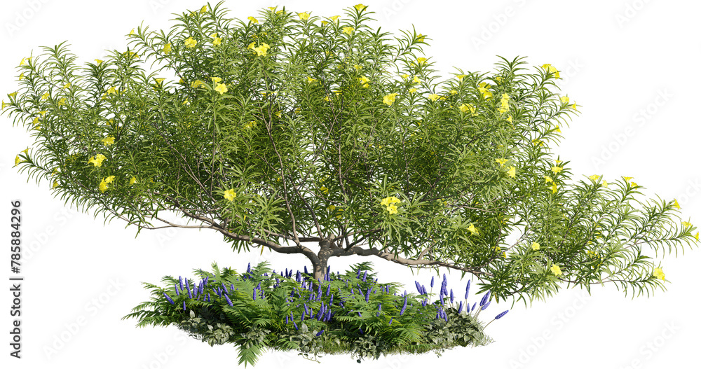 Poster realistic 3d rendering of a tree on transparent background, suitable for architecture visualization,