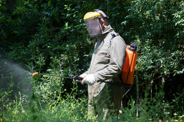 Gardener sprays trees in the garden against diseases and insects.