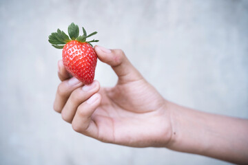 Fresh strawberry in hand on grey wall background.