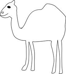 Hand drawn camel illustration on transparent background.
