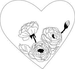 Hand drawn beautiful heart frame illustration on transparent background.
