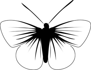 Hand drawn butterfly illustration on transparent background.
