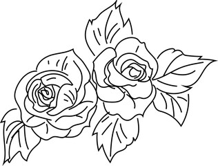 Hand drawn flower illustration on transparent background.
