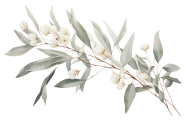 PNG  Wreath plant Eucalyptus flower leaf freshness