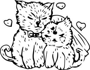 Hand drawn cat couple illustration on transparent background.
