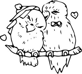 Hand drawn bird couple illustration on transparent background.
