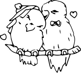 Hand drawn bird couple illustration on transparent background.
