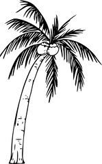 Hand drawn coconut tree illustration on transparent background.
