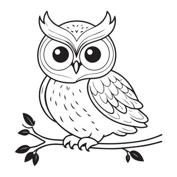 owl line illustration for download