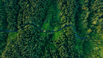Winding Forest Road: A Captivating Aerial View