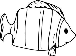 Hand drawn fish illustration on transparent background.
