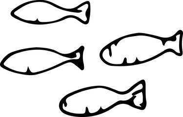 Hand drawn fish illustration on transparent background.
