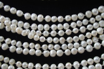 A string of pearl beads. Decoration.