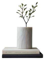 Foto op Canvas PNG Marble sculpture white vase with vintage book on a table plant publication houseplant © Rawpixel.com