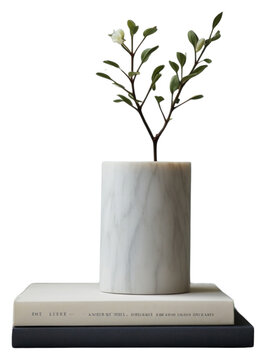 PNG Marble sculpture white vase with vintage book on a table plant publication houseplant