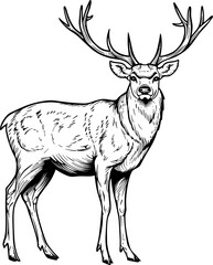 Deer clipart design illustration