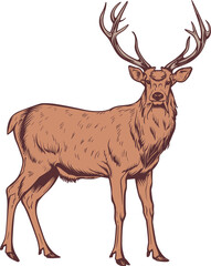 Deer clipart design illustration