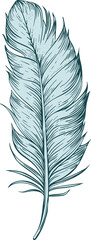 Feather clipart design illustration