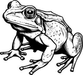 Frog clipart design illustration