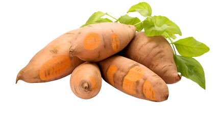 Cute sweet potatoes, with green leaves on the side and several large orange sugar Delightful potato roots. white background