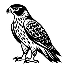Obraz premium North American red tailed hawk silhouette vector style , 