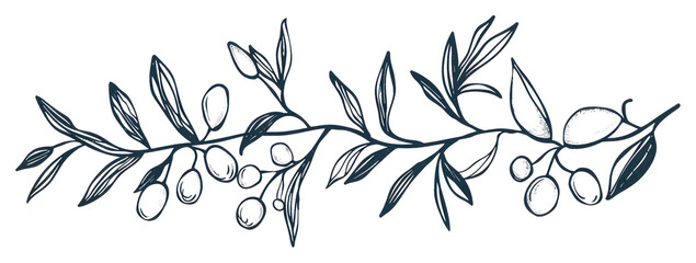 PNG Divider doodle of mistletoe drawing sketch line