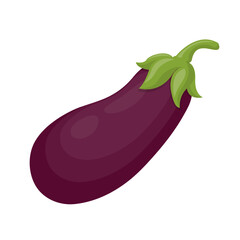 Fresh nature vegetable purple eggplant cartoon vector isolated illustration