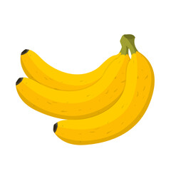 Fresh fruit a bunch of banana cartoon vector isolated illustration - 785924203