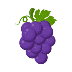 Fresh fruit purple grape with green leaf vine cartoon vector isolated illustration - 785924426
