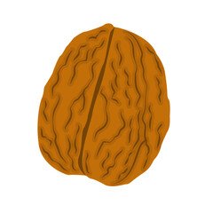 Nature food nuts walnut cartoon vector isolated illustration - 785925275