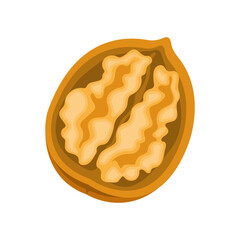 Nature food nuts opened walnut cartoon vector isolated illustration - 785925295