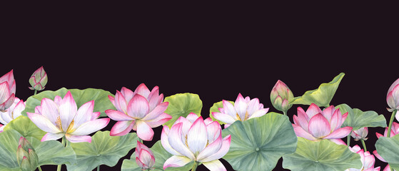 Seamless banner of Indian sacred lotus flowers with leaves. Water lily, Indian lotus, green leaf, bud. Space for text. Watercolor illustration isolated on black background. Horizontal pattern - obrazy, fototapety, plakaty