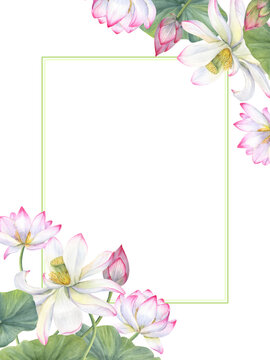 Oriental lotus flowers. Bouquet of Pink white waterlilies, green leaves. Horizontal frame of water lily. Floral composition with copy space for text. Watercolor illustration for wedding greeting