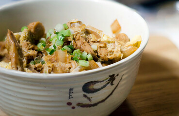 Chicken and egg rice bowl 2