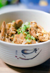 Chicken and egg rice bowl 1