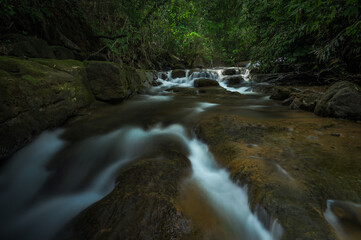 Obraz premium Meghalaya's Monsoon Magic: Living Bridges, Milky Way, Waterfalls, Flora and Fauna