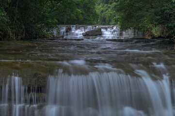 Meghalaya's Monsoon Magic: Living Bridges, Milky Way, Waterfalls, Flora and Fauna