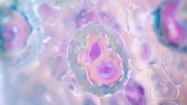 A large central vacuole is visible filled with fluid and surrounded by a membrane playing a crucial role in maintaining cell turgidity . AI generation.