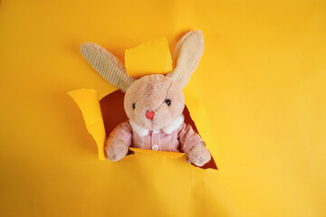 Portrait of a toy on a yellow background through a yellow background