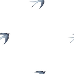 Swallow, martlet, seamless pattern, background. Clear white sky. Barn swallow flying, wings spread. Hirundo rustica on white background. Wildlife. Tattoo design, watercolor art, bird set, wild animals