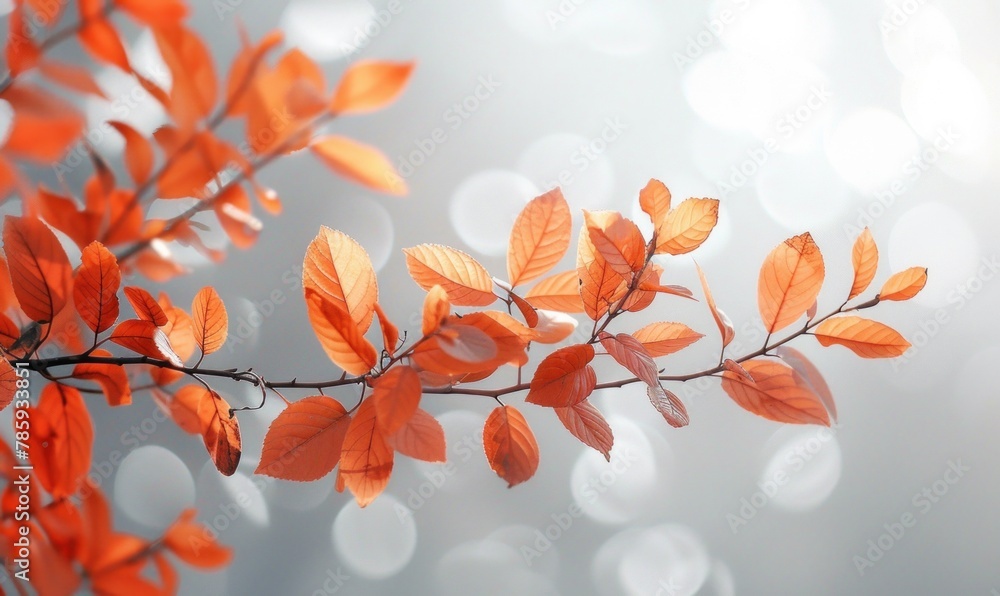 Poster abstract background with leaves and shadows on a cement wall, play of light and shapes with space fo
