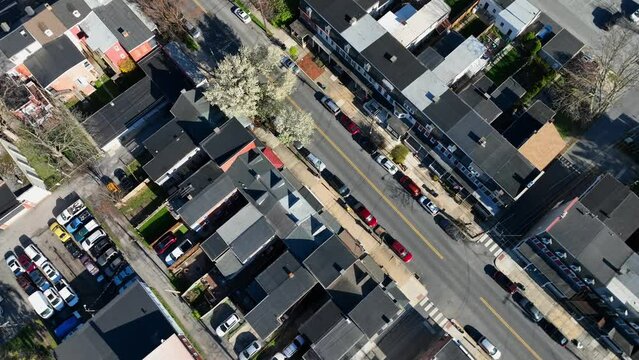 Aerial reveal of urban houses and church with trees blossoming in spring. American city during April.