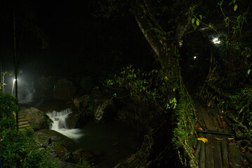 Meghalaya's Monsoon Magic: Living Bridges, Milky Way, Waterfalls, Flora and Fauna